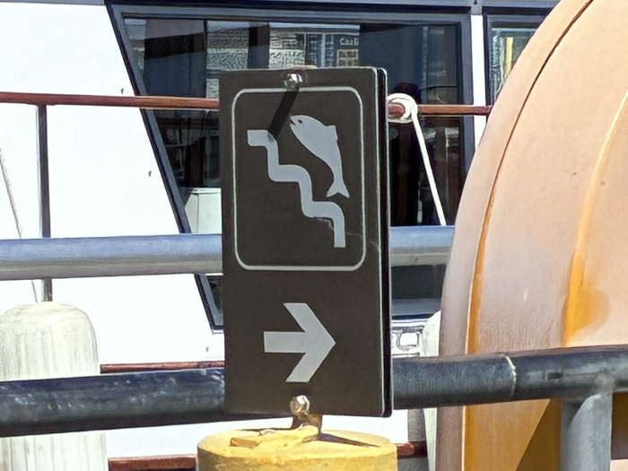 The fish ladder sign, which looks like a fish going up stairs