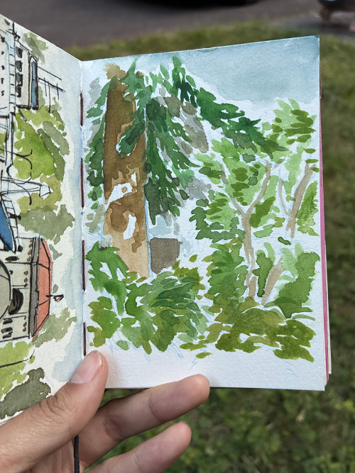 Watercolor painting of trees in Curi's yard