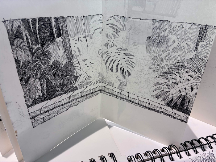 Drawing by Michael Sanchez