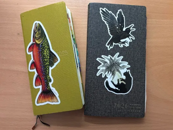 Hobonichi Weeks and Sterling Ink 
